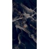 GT120604305HPR Керамогранит Paradise_GT Черный 60x120 суперполировка_ 1\46,08