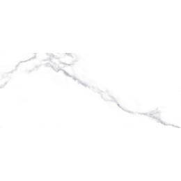 Плитка облиц. Anima Белый 60*25 01 1 \57,6