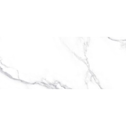 Плитка облиц. Anima Белый 60*25 01 1 \57,6
