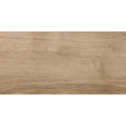 Керамогранит Nostrum Бежевый 30x60 1\46,08