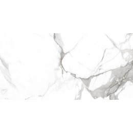 Керамогранит Victory Белый 30x60 1\46,08