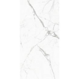 Керамогранит Elegant Statuario Белый 60x120 полированная 1\43,2