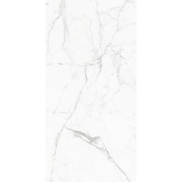 Керамогранит Elegant Statuario Белый 60x120 полированная 1\43,2