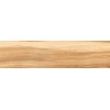 15NW0027 Плитка грес глаз. Nutwood GT Медовый 15*60 _ 1 \67,5