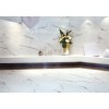 Керамогранит Realistik Carrara X Satin 60x60