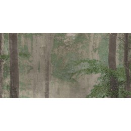 Керамическая плитка  W&S D+ CP4 WOODS B  120X240