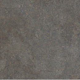 Керамогранит NATIVE FOREST LAP RET	120X120