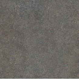 Керамогранит NATIVE FOREST LAP RET	120X120