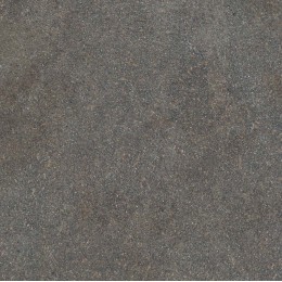 Керамогранит NATIVE FOREST LAP RET	120X120