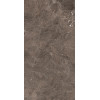 REX HERITAGE LUXE BROWN GLOSS.9MM 60X120 RET