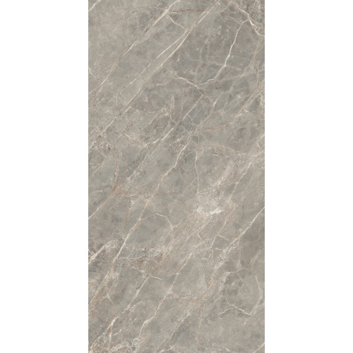 REX ETOILE GRIS MAT 6MM 120X240 RET