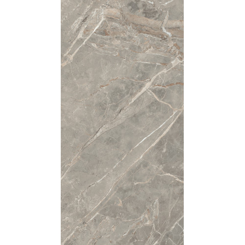 REX  ETOILE GRIS MAT 6MM 60X120 RET