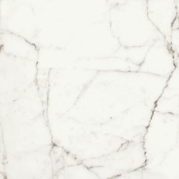 Керамогранит RHAPSODY WHITE FUN LEV RET 60X60