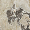 CASA DOLCE CASA  ONYX&MORE GOLDEN BLEND SATIN 6MM R 120x120