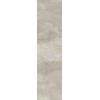 REX ARDOISE GRIS 20X80 RET
