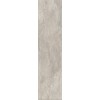 REX ARDOISE GRIS 20X80 RET