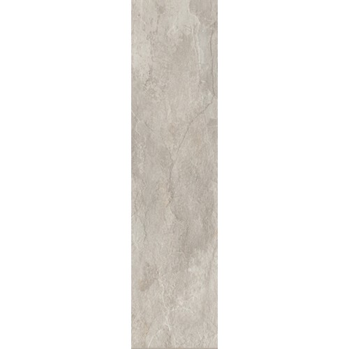 REX ARDOISE GRIS 20X80 RET