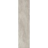 REX ARDOISE GRIS 20X80 RET