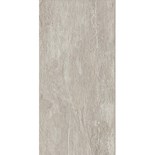 REX ARDOISE GRIS NAT 60x120 RET