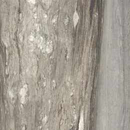 Керамогранит  ETOILE TROPICAL GLOSSY 10 мм 80x80 RET