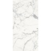REX LES ORIGINES DE REX BLANC GLOSSY 60X120