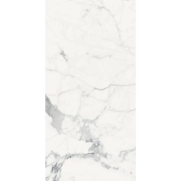 Керамогранит LES ORIGINES DE REX BLANC GLOSSY 60X120