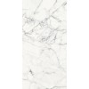 REX LES ORIGINES DE REX BLANC GLOSSY 60X120
