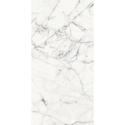 REX LES ORIGINES DE REX BLANC GLOSSY 60X120