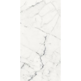 Керамогранит LES ORIGINES DE REX BLANC GLOSSY 60X120