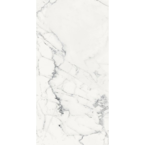 REX LES ORIGINES DE REX BLANC GLOSSY 60X120