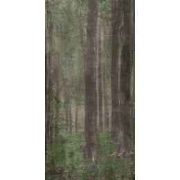 Керамическая плитка W&S D+ WOODS A   120x240