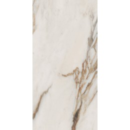 Керамогранит SNS.SIGN.CAL. VENA ORO NAT RET 60X120