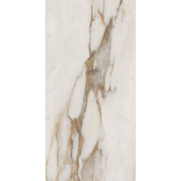 Керамогранит SNS.SIGN.CAL. VENA ORO NAT RET 60X120