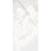 REX REVES DE REX  PERLA MAT 10 мм 60X120