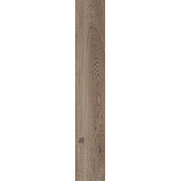 Керамогранит POETRY WOOD  OAK NAT RETT 20x120