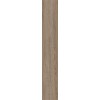 ABK POETRY WOOD  OAK NAT RETT 20x120