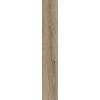 ABK POETRY WOOD  OAK NAT RETT 20x120