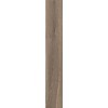 ABK POETRY WOOD  OAK NAT RETT 20x120