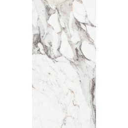 Керамогранит LES ORIGINES DE REX  ARGENT GLOSSY 60X120