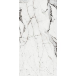 Керамогранит LES ORIGINES DE REX  ARGENT GLOSSY 60X120