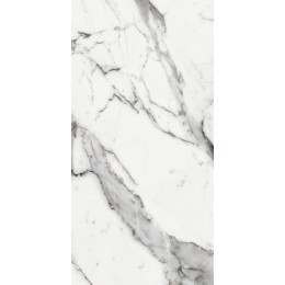 Керамогранит LES ORIGINES DE REX  ARGENT GLOSSY 60X120