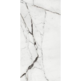Керамогранит LES ORIGINES DE REX  ARGENT GLOSSY 60X120