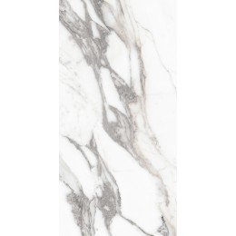 Керамогранит LES ORIGINES DE REX  ARGENT GLOSSY 60X120