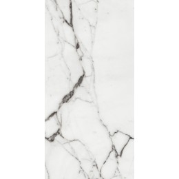 Керамогранит LES ORIGINES DE REX  ARGENT GLOSSY 60X120