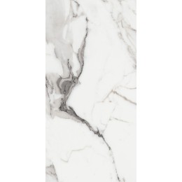 Керамогранит LES ORIGINES DE REX  ARGENT GLOSSY 60X120