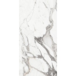 Керамогранит LES ORIGINES DE REX  ARGENT GLOSSY 60X120