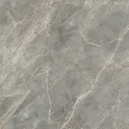 Керамогранит  ETOILE GRIS GLOSSY 10 мм 60x60 RET