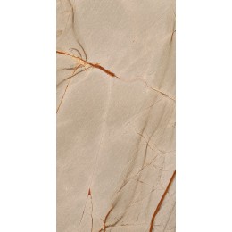Керамогранит NATURE MOOD RAINFORE.GLOSS.9MM 60X120 RET