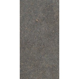 Керамогранит NATIVE FOREST RET  60X120