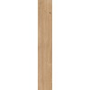 FLAVIKER 4 SEASONS  BISCUIT       NAT R20X120
